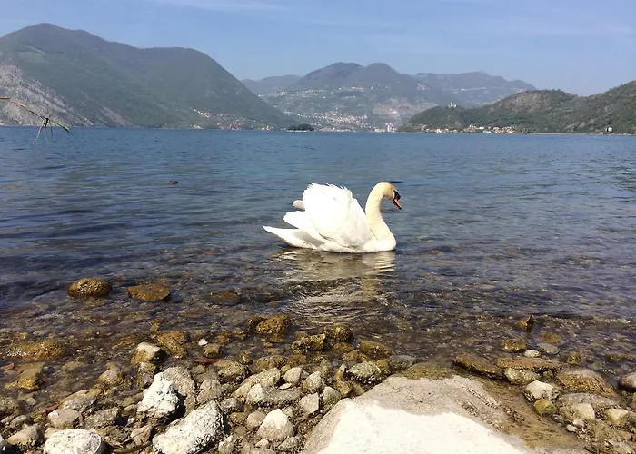 Costa Paradiso Iseo * Sulzano